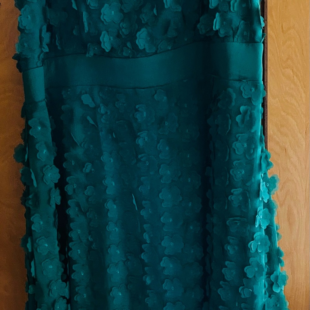 It is a gorgeous dress with little flower petals all over the dress !